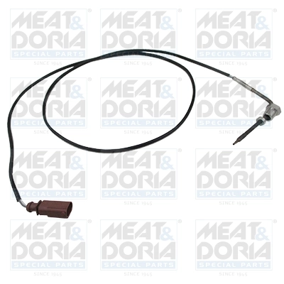 Sensor, exhaust gas temperature
